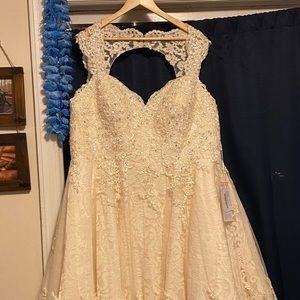 Ball-Gown Knee-Length Tulle Lace Dress